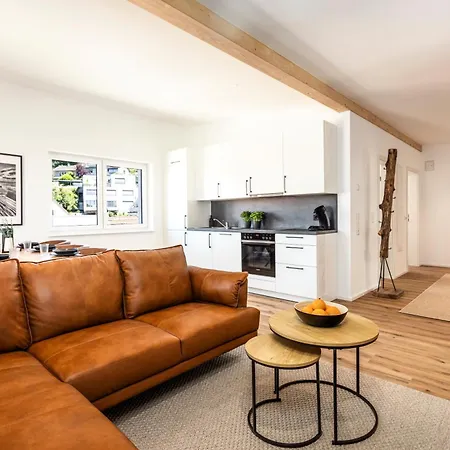 Design Penthouse Near Basel & Black Forest * Lörrach